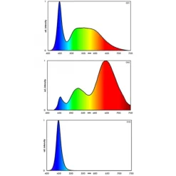 BLUE CORAL Rampe LED aquarium eau douce, pour végétation fraîche, EHEIM powerLED+ - 664mm, 19.9W