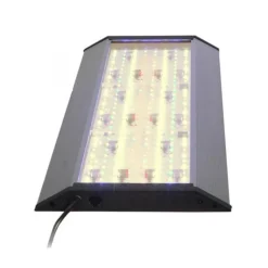 Sale BLUE CORAL Rampe LED wifi pour aquarium d'eau douce AQUA MEDIC Aquarius Plant 90 Plus - 90cm