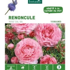 Clearance BOTANIC® Renoncule rose - 15 bulbes