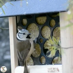 New NATURES MARKET Repas aux vers pour oiseaux de la nature – 300 g