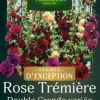 Best VILMORIN Rose Trémière Double grande variée - graines à semer