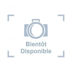 Sale BLUE CORAL Rotor de rechange pour Power Gravel Cleaner 1000 et 2000 - NEWA