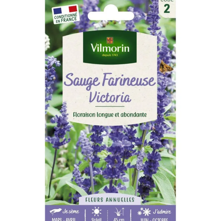 New VILMORIN Sachet de graines de sauge