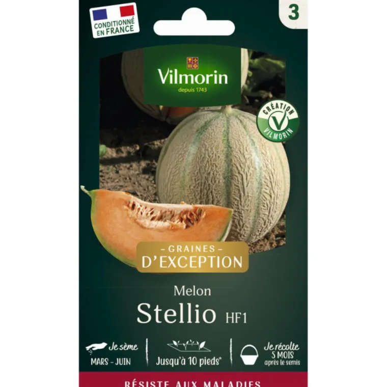Online VILMORIN Sachet de semences potagères graines de melon Brode Stellio Graines d'Exception