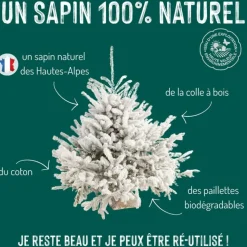 Sale Sapin de Noël naturel blanc effet enneigé Glacé Robin®