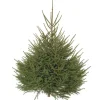 Hot Sapin de Noël naturel coupé Épicéa - de 200 à 250 cm