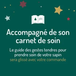 BOTANIC® Sapin de Noël naturel en pot Picea Excelsa