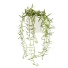 Clearance BOTANIC® Senecio radicans en pot blanc émaillé H 10 x Ø 15 cm