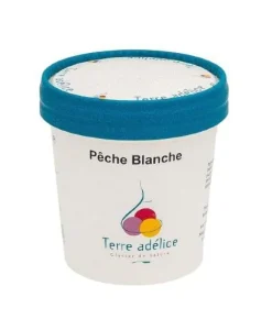 Hot TERRE ADELICE Sorbet pêche blanche Terre Adélice - Pot de 120 ml