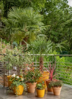 New POETIC Soucoupe jaune tournesol pour pot Joy 35 - Ø 26,6 cm