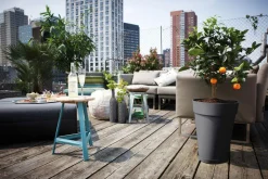 Sale ELHO Soucoupe Ronde couleur anthracite - Ø 19x2.9 cm