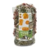 Sale PUUR PAUZE Sticks puur carotte et potiron pour rongeurs 110 g