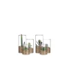 Sale Succulente verte artificielle en pot transparent H 13 x Ø 11 cm