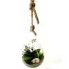 Discount NATURALYS Terrarium Drop en verre transparent à suspendre taille L - Ø 20 x 40 cm