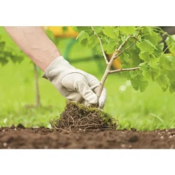 Outlet BOTANIC® Terre de plantation arbustes et massifs - 30 L