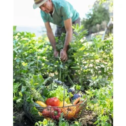 Discount BOTANIC® Terre de plantation potager et verger - 30 L