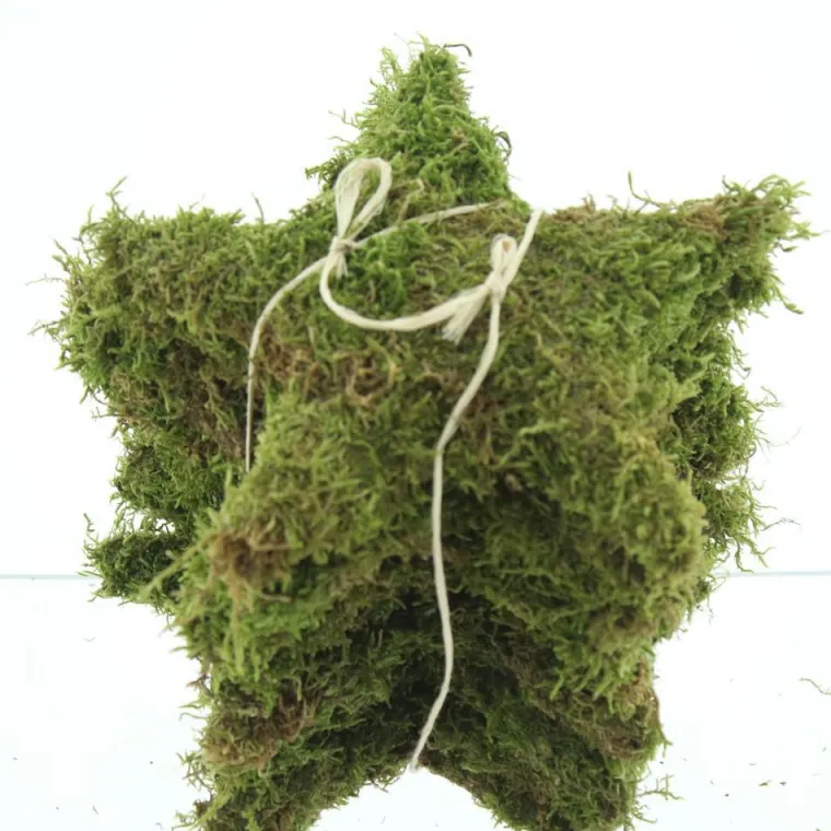 Online AUTRES PRODUCTEURS Étoile en mousse coloris vert – Ø 25 cm