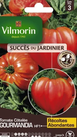 VILMORIN Tomate Côtelée Gourmandia HF1 - graines à semer