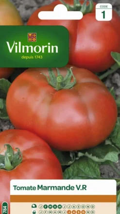 Sale VILMORIN Tomate Marmande VR - graines à semer