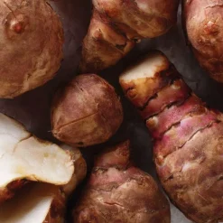 Best BOTANIC® Topinambourg Bio. Le pot de 1 litre