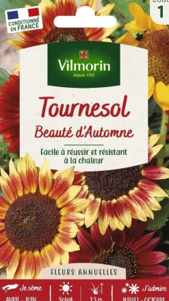 VILMORIN Tournesol Beauté d'Automne - graines à semer