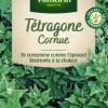 Hot VILMORIN Tétragone Cornue - graines à semer