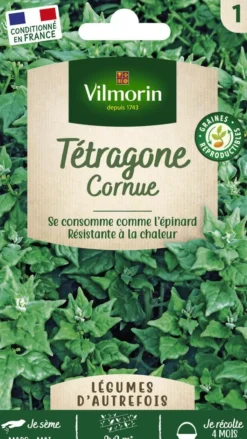 Hot VILMORIN Tétragone Cornue - graines à semer