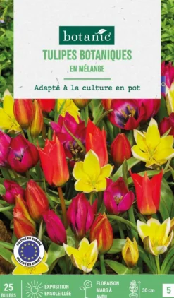 Sale BOTANIC® Tulipe en mélange - 25 bulbes