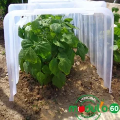 Hot POUSS'VERT Tunnel de culture