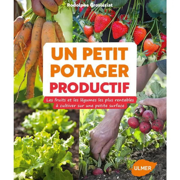 ÉDITIONS EUGEN ULMER Un Petit Potager Productif 143 pages