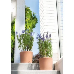 Outlet DEROMA Vase Cilindrico clair D25 x H21