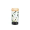 Best NATURALYS Verrine tube light blanche taille S Ø 8 x H 18 cm